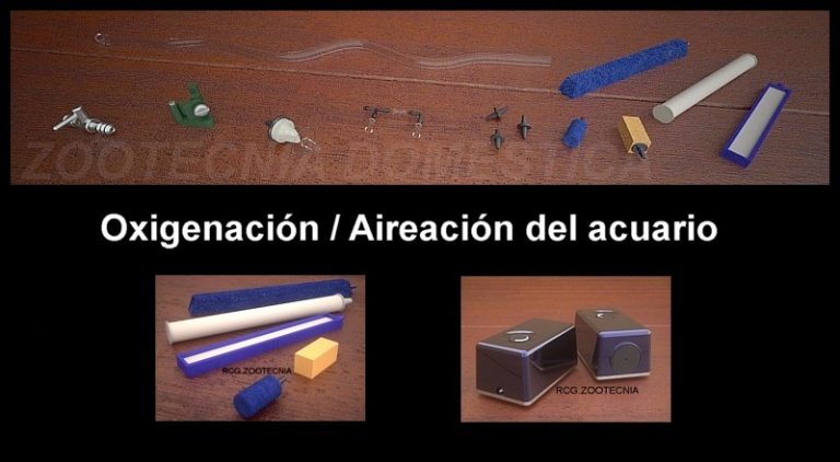 Oxigenación-aireación